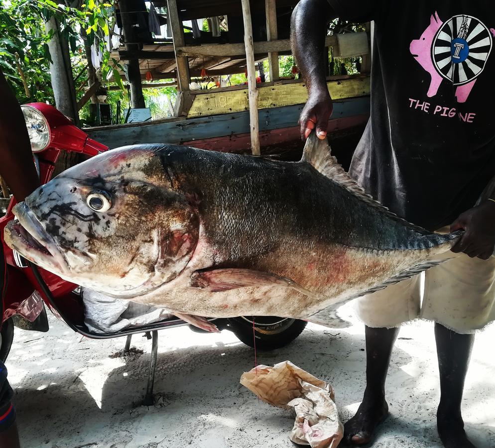 Hotel Kae Funk Zanzibar Michamvi Zewnętrze zdjęcie